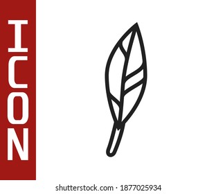 Icono de pluma mágica de línea negra aislado en fondo blanco.  Vector