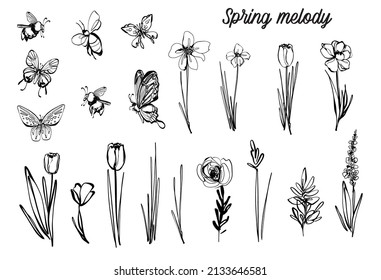 Black line meadow flowers, bugs, bee, butterfly, spring melody script. Vector Outline illustration. Nature flower plants. Monochrome tulip floral line art. Hand drawn simple garden logo