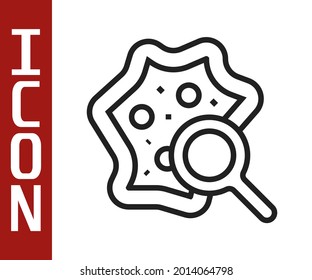 Black line Microorganisms under magnifier icon isolated on white background. Bacteria and germs, cell cancer, microbe, virus, fungi.  Vector