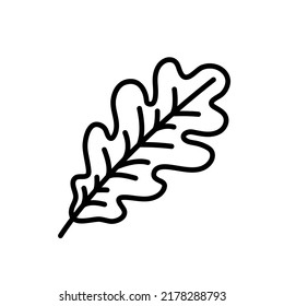 black line oak leaf on white background, thick black outline, fall season vector illustration, simple single element