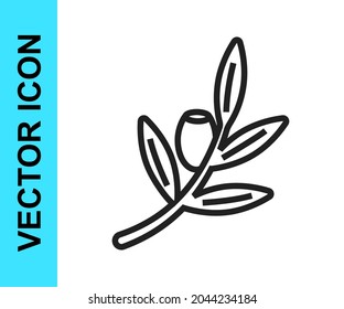 Black line Olives branch icon isolated on white background.  Vector