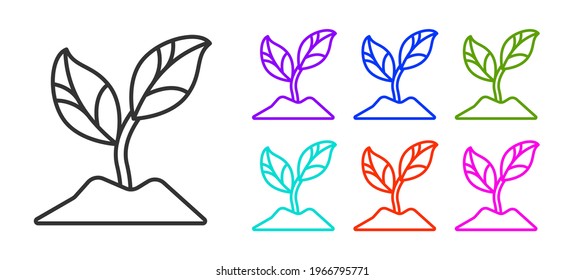 Black line Plant icon isolated on white background. Seed and seedling. Leaves sign. Leaf nature. Set icons colorful. Vector Illustration