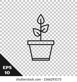 Black line Plant in pot icon isolated on transparent background. Plant growing in a pot. Potted plant sign.  Vector Illustration