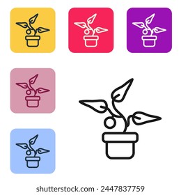 Black line Plant in pot icon isolated on white background. Plant growing in a pot. Potted plant sign. Set icons in color square buttons. Vector