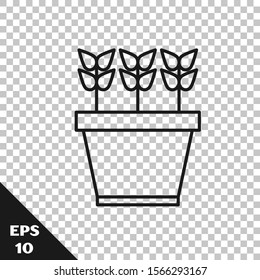 Black line Plants in pot icon isolated on transparent background. Plants growing in a pot. Potted plant sign.  Vector Illustration
