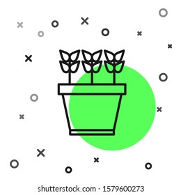 Black line Plants in pot icon isolated on white background. Plants growing in a pot. Potted plant sign.  Vector Illustration