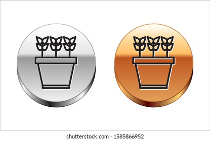 Black line Plants in pot icon isolated on white background. Plants growing in a pot. Potted plant sign. Silver-gold circle button. Vector Illustration