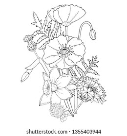 Black line Poppy and narcissus, clover and cornflower. Botanical design of coloring pages, wedding invitation template, postcards, banners, posters, templates, seasonal sales, bridal card