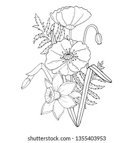 Black line Poppy and narcissus flowers on white background. Botanical design of coloring pages, wedding invitation template, postcards, banners, posters, templates, seasonal sales, bridal card.