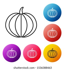 Black line Pumpkin icon isolated on white background. Happy Halloween party. Set icons colorful circle buttons. Vector Illustration