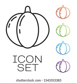 Black line Pumpkin icon isolated on white background. Happy Halloween party. Set icons colorful. Vector Illustration