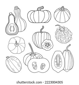 Black line pumpkin vector set. Trendy fall harvest outline vegetablei icon llustration for Thanksgiving, Halloween, textile