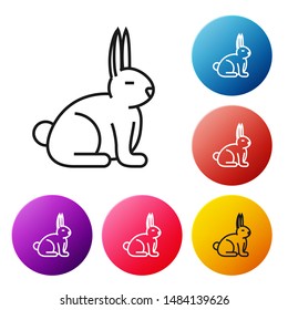 Black line Rabbit icon isolated on white background. Set icons colorful circle buttons. Vector Illustration