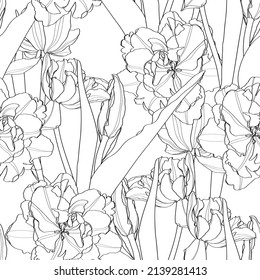 Black line seamless floral pattern background. Spring flower. Hand drawn illustration and sketch Tulips flower. Black and white with line art illustration.