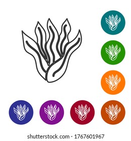 Black line Seaweed icon isolated on white background. Underwater seaweed spirulina, aquatic marine algae plant. Vegan and vegetarian food. Set icons in color circle buttons. Vector.