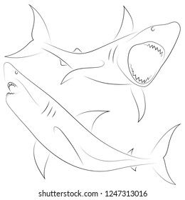 Black Line Shark Attacks On White Stock Vector (Royalty Free ...