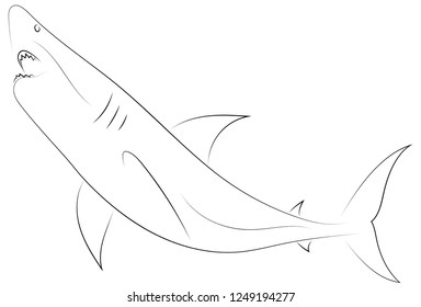 Black Line Shark Attacks On White Stock Vector (Royalty Free ...