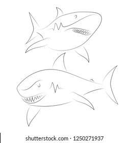 Black line shark on white background. Shark. Sketch style. Vector graphic icon animal.