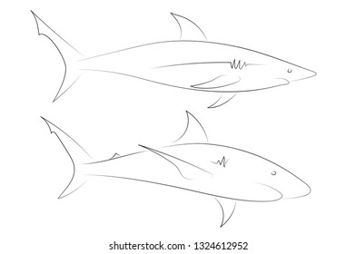 Black line sharks on white background. Hand drawn linear sketch. Vector graphic fishes. Animal illustration. Sketch style.