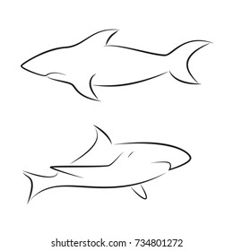 Black line sharks on white background. Hand drawing vector graphic fish. Animal illustration.