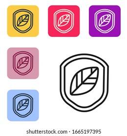 Escudo de línea negra con icono de hoja aislado en fondo blanco. Protector de seguridad ecológico con hoja. Establecer iconos en botones cuadrados de color. Ilustración vectorial