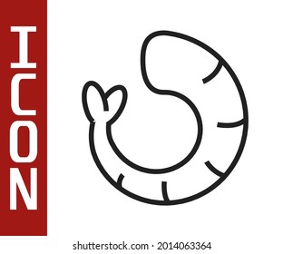 Black line Shrimp icon isolated on white background.  Vector
