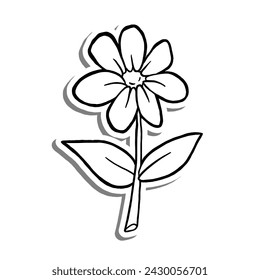 Black line Single Daisy Flower Bloom on white silhouette and gray shadow. Hand drawn cartoon style. Vector illustration for decorate, coloring and any design.