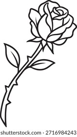 Schwarze Linie einzelne Rose mit Dornen und Blättern auf weißem Hintergrund Blume einzelne Blume schwarz-weiß
