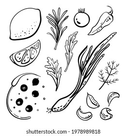 Black line sketch collection of vegetables, fruits and herbs isolated on white background. Doodle hand drawn icons. Vector illustration
