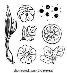 Black line sketch collection of vegetables, fruits and herbs isolated on white background. Doodle hand drawn icons. Vector illustration
