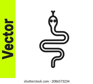 Black line Snake icon isolated on white background.  Vector