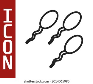 Black line Sperm icon isolated on white background.  Vector