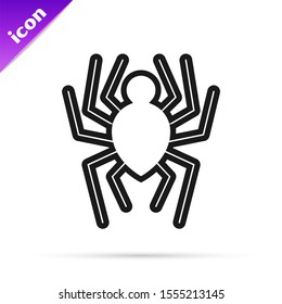 Black line Spider icon isolated on white background. Happy Halloween party.  Vector Illustration