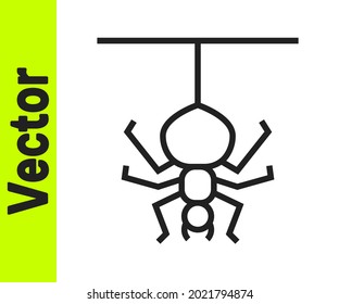 Black line Spider icon isolated on white background. Happy Halloween party.  Vector