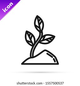 Black line Sprout icon isolated on white background. Seed and seedling. Leaves sign. Leaf nature.  Vector Illustration