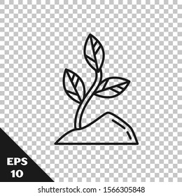 Black line Sprout icon isolated on transparent background. Seed and seedling. Leaves sign. Leaf nature.  Vector Illustration