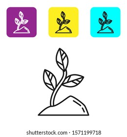 Black line Sprout icon isolated on white background. Seed and seedling. Leaves sign. Leaf nature. Set icons colorful square buttons. Vector Illustration