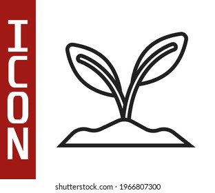 Black line Sprout icon isolated on white background. Seed and seedling. Leaves sign. Leaf nature.  Vector