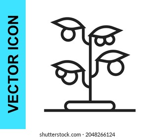 Black line Sprout icon isolated on white background. Seed and seedling. Leaves sign. Leaf nature.  Vector
