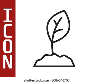 Black line Sprout icon isolated on white background. Seed and seedling. Leaves sign. Leaf nature.  Vector