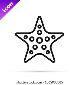 Black line Starfish icon isolated on white background.  Vector