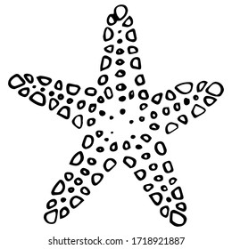 Black line starfish on white isolated backdrop. Sea creature for invitation or gift card, pet shop logo, diving club, bath tile. Phone case or cloth print art. Doodle style stock vector illustration