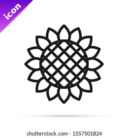 Black line Sunflower icon isolated on white background.  Vector Illustration