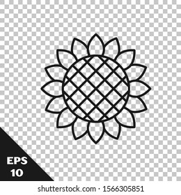 Black line Sunflower icon isolated on transparent background.  Vector Illustration
