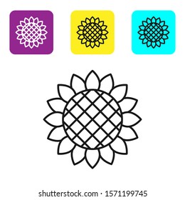 Black line Sunflower icon isolated on white background. Set icons colorful square buttons. Vector Illustration