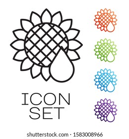 Black line Sunflower icon isolated on white background. Set icons colorful. Vector Illustration