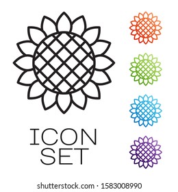 Black line Sunflower icon isolated on white background. Set icons colorful. Vector Illustration