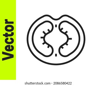 Black line Tomato icon isolated on white background.  Vector