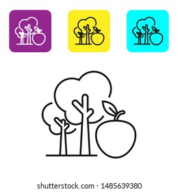 Black line Tree with apple icon isolated on white background. Agricultural plant. Organic farm product. Gardening theme. Set icons colorful square buttons. Vector Illustration