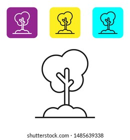 Black line Tree in the ground icon isolated on white background. Forest symbol. Set icons colorful square buttons. Vector Illustration